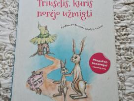 Triušelis, kuris norėjo užmigti