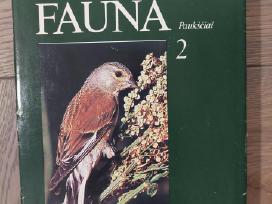 Lietuvos fauna. Paukščiai
