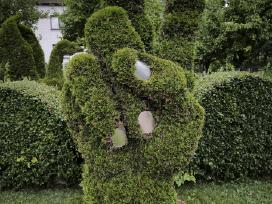 Augalų Skulptūros (Topiary), rėmai