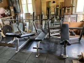 3 stakles Cybex