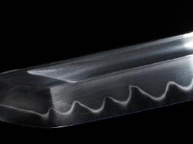 Phoenix Katana (w.k.c. Solingen)