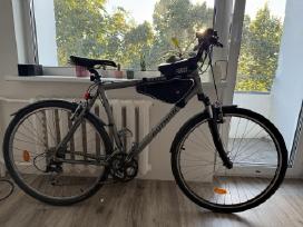 Dviratis XL / Vilnius / Palanga