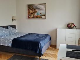 Studiju nuoma šalia Kliniku (Lsmu)