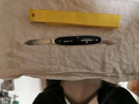Laikrodininko peliukas Bergeon