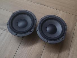 Focal
