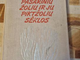 Pašarinių žolių ir jų piktžolių sėklos