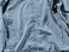 Vyriškas sportinis adidas bliuzonas