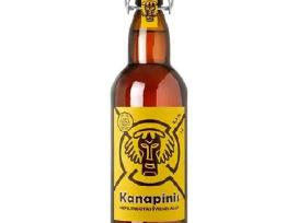 Stiklinis butelis su kamsciu, 1l