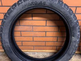 Cst Ambro A4 R18