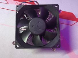 Cpu aušintuvas hp