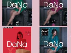 Pėdkelnės Dana Plus Size 40 den, dydžiai 7-8-9-10