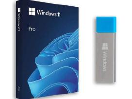 # Pigiai - Paruoštas Usb – Windows 11 Pro