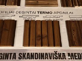Deginta termo mediena