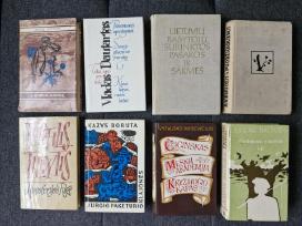Lietuvių literatūra
