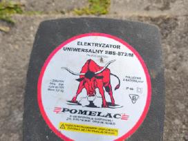 Elektrinis piemuo