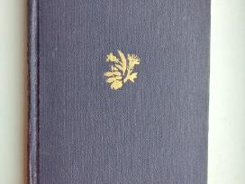 G. Floberas. Ponia Bovari (prancūzų k.)