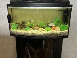Parduodamas akvariumas 120 L