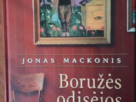 Jonas Mackonis ( tapytojas ) - Boružės odisėjos