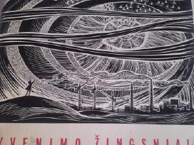 Grafika -gyvenimo žingsniai