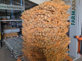 Bulvės didmena nuo 0,25 €/kg Pristatymas visoje
