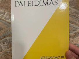 Paleidimas