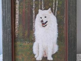 Paveikslas su Samojedas
