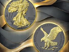 1 oz Silver Eagle, Amerikos sidabrinis erelis.
