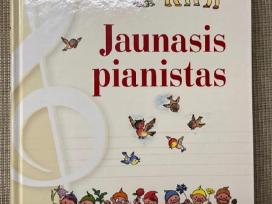 Jaunasis pianistas. 2017m.
