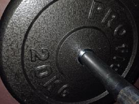Svoriai 2 x 20 kg