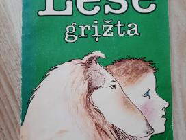 Erikas Naitas "Lesė grįžta"