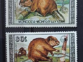 Mongolija 1989 bebrai,švarūs Michel 2021-2024