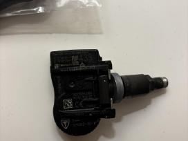 Tesla tpms slegio davikliai