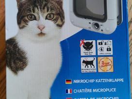Durelės katinui