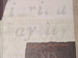 Lietuvių literatūros istorija XIX a.