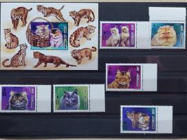 Mongolija 1998 katės,švarūs Michel 2792-2797block2