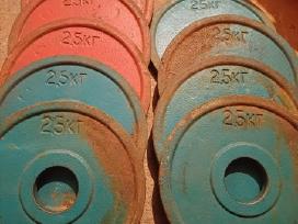 Svoriai 25 kg diametras 50mm