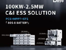 Energijos kaupikliai verslui ir namams Deye