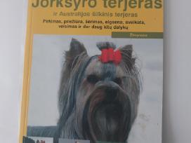Knyga