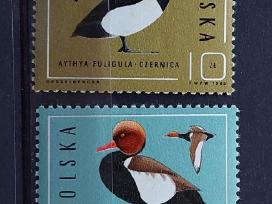 Lenkija 1985 paukščiai, švarus, Michel 2998-3003