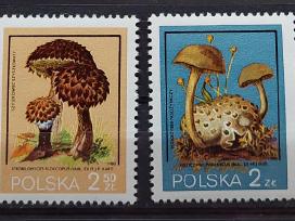 Lenkija 1980 grybai, švarus, Michel 2693-2698