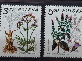 Lenkija 1980 gėles, švarus, Michel 2706-2711