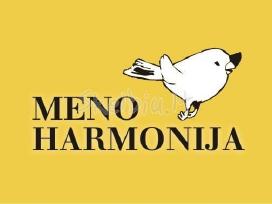 Dailės mokymas, piešimo pamokos.