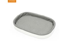 Stokke vystymo lenta