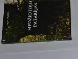 Veringos zinios medziotojui