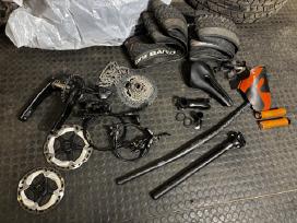 MTB dalys