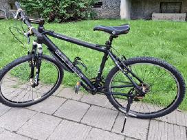 Dviratis Focus Black Raider 19.5" Limited Edition