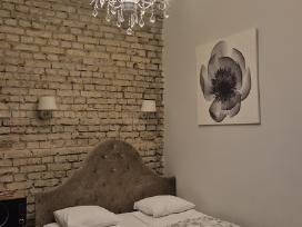 Nuomojami apartamentai centre salia Gedimino pr.