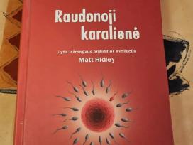 Raudonoji karalienė
