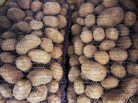 Parduodu Vineta, Melody maistines bulves