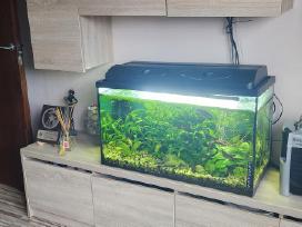 Parduodu akvariumą